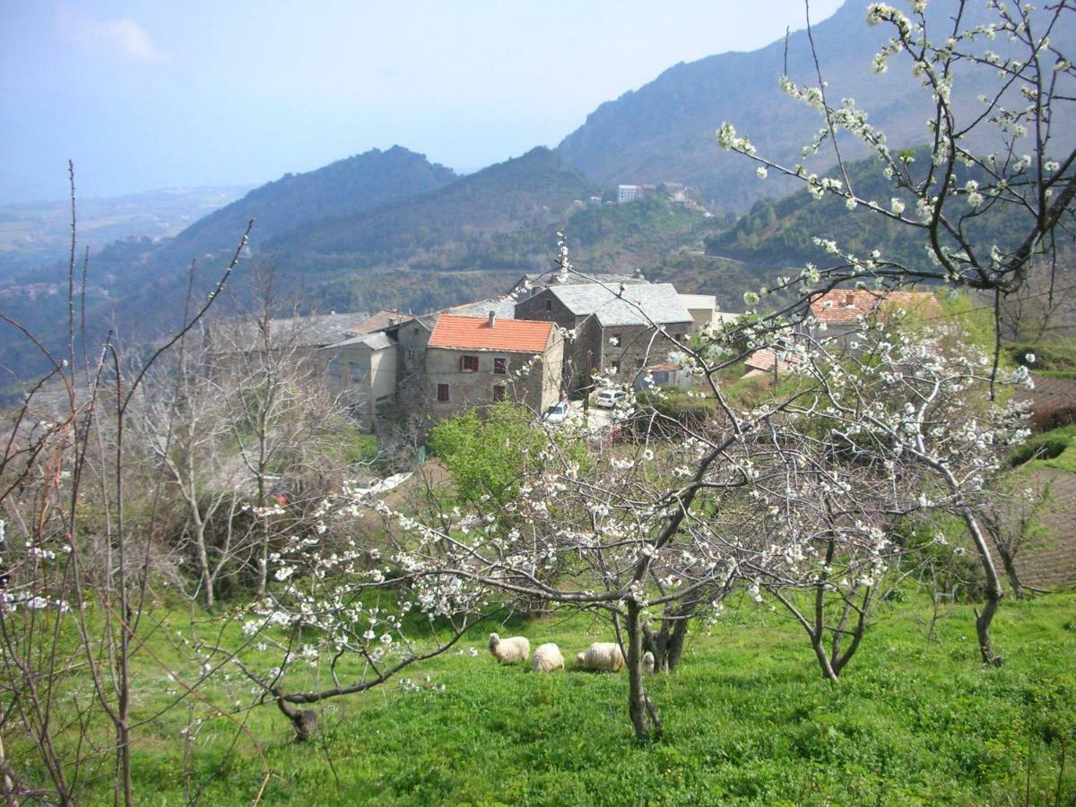 San-Giovanni-di-Moriani Sole E Ventu 30Qm 아파트 외부 사진