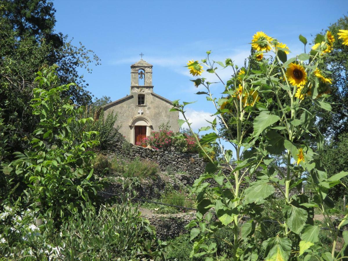 San-Giovanni-di-Moriani Sole E Ventu 30Qm 아파트 외부 사진
